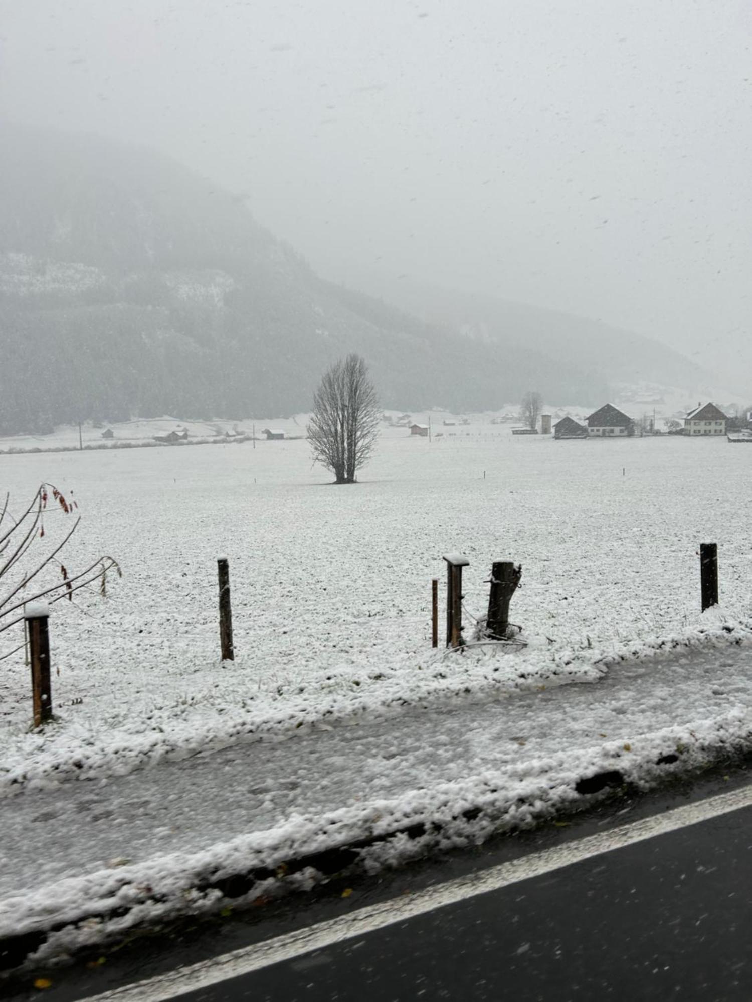Ferienwohnungen Hager Gosau Exterior foto