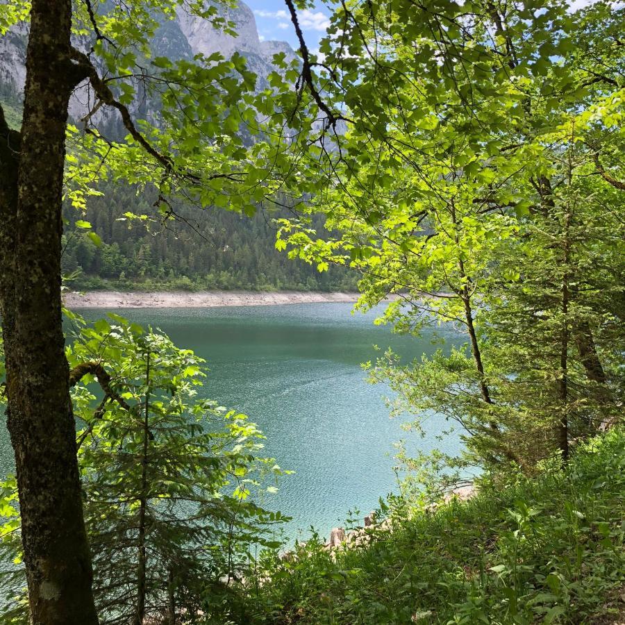 Ferienwohnungen Hager Gosau Exterior foto