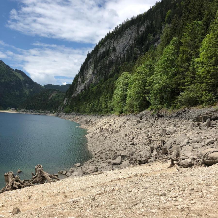 Ferienwohnungen Hager Gosau Exterior foto